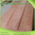 Taille 1270X2520mm, 1270X1900mm, 760X2200mm, 920X2200mm Épaisseur 0.15-0.50mm Placage Bintangor avec prix moins cher